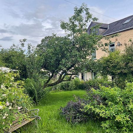 Ynyswen Bed & Breakfast Nantgaredig Exterior foto