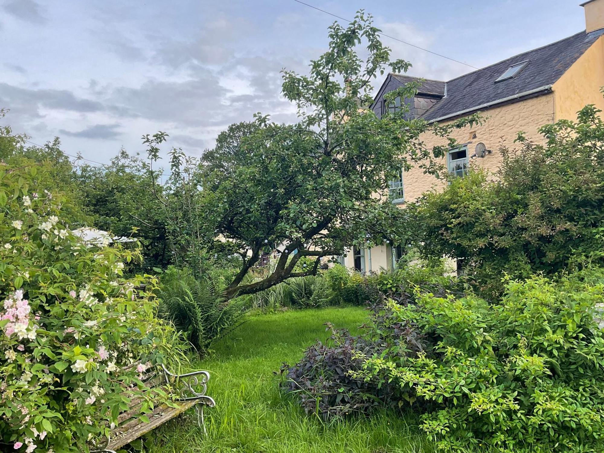 Ynyswen Bed & Breakfast Nantgaredig Exterior foto