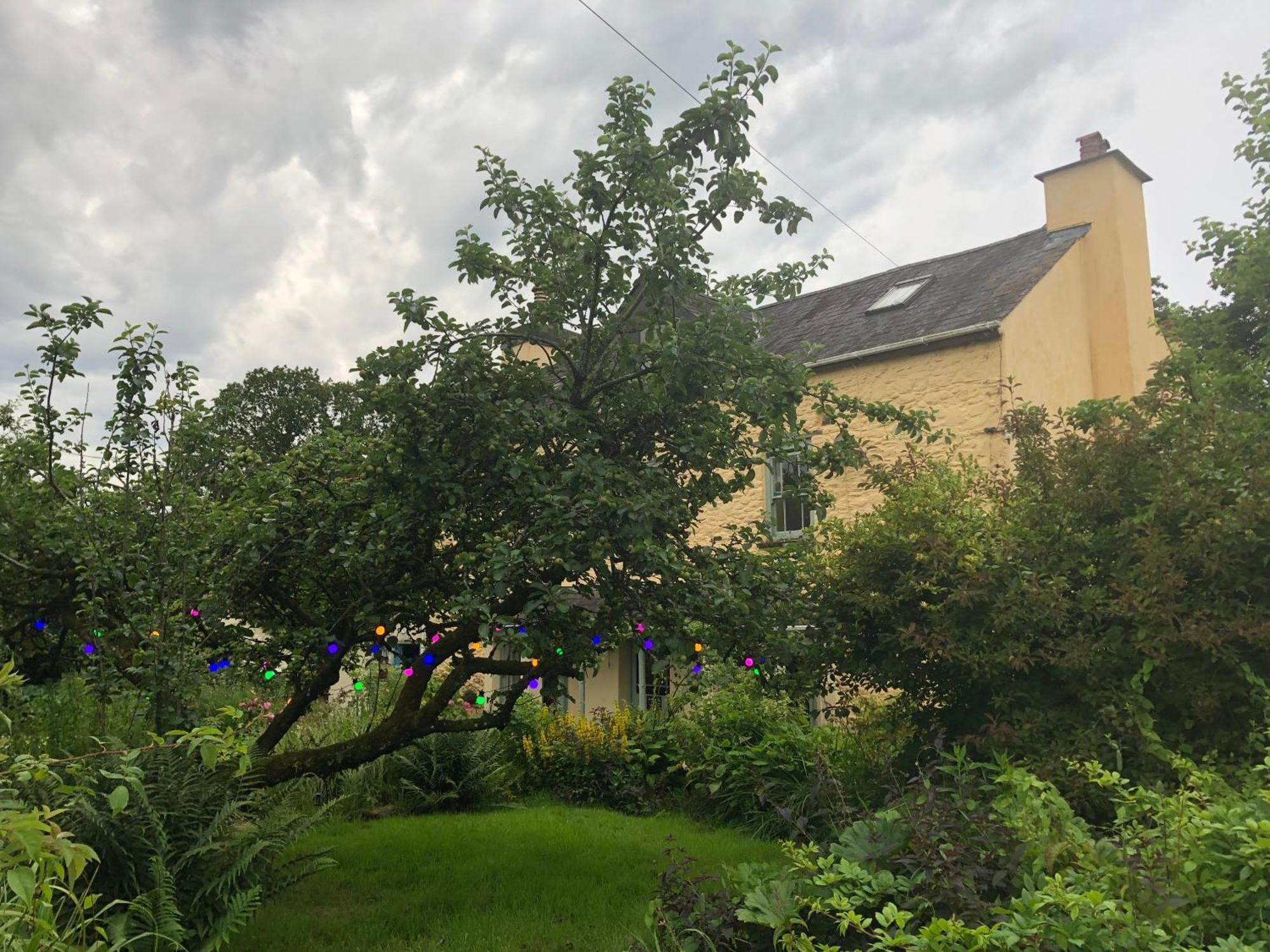 Ynyswen Bed & Breakfast Nantgaredig Exterior foto